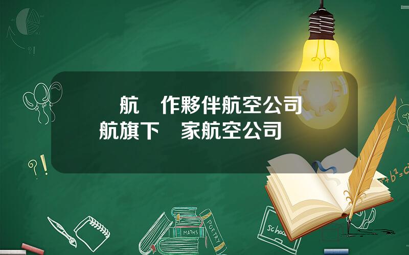 國航郃作夥伴航空公司 東航旗下幾家航空公司